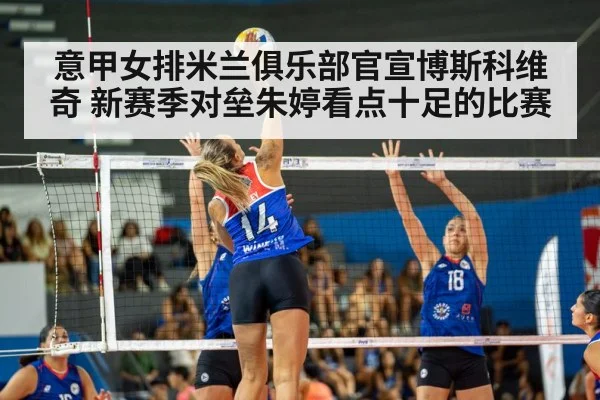 volleyball match