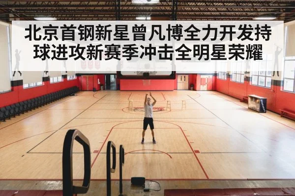 basketball training court